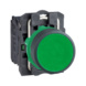 Tasopainike Harmony XB5 - PAINIKE VI XB5AA31 HARMONY - 1