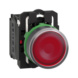 - ILLUMINATED BUTTON 230V 1NO RD XB5AW34M5 - 1