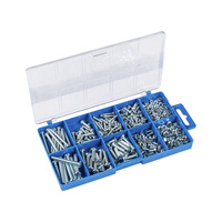 Screw and nut set