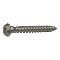 Nailing plate screw, Ruspert-coated, round pan head