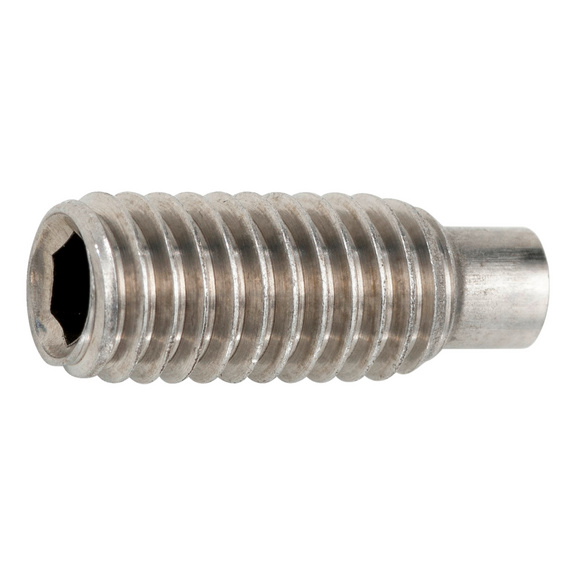 Set screw, dog point with hexagon socket - DIN 915 A4 M6X10