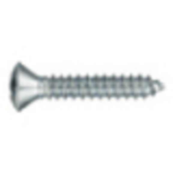 Tapping screw, rounded countersunk head, PH - DIN7983 A2 PH        5,5 X 42