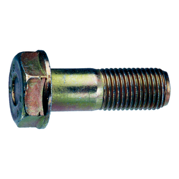 Frame bolt with flange partially threaded