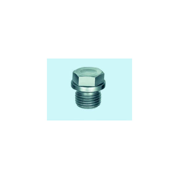 Hexagon head plug light type - DIN 7604 5.8 AM18X1,5