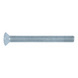 Slotted screw, oval head. PH-ura - DIN 966 ZN PH M4X10 - 1