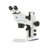 Microscopio estereoscópico con oculares