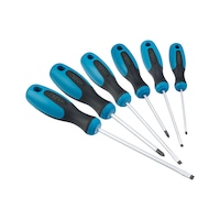 HAZET screwdriver set, 6 pieces, slotted and PH