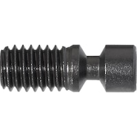 Clamping screw for ISO clamp holder with toggle lever