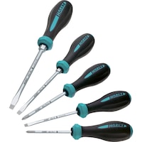 HAZET screwdriver set, 5 pieces, slotted and PH
