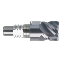 Solid carbide end mill for interchangeable head system