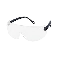 PRO FIT veiligheidsbril met montuur Visispec