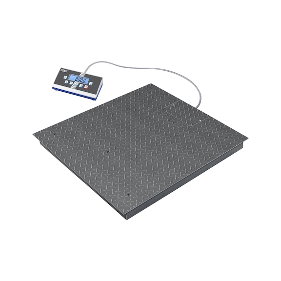 Floor scales BIC