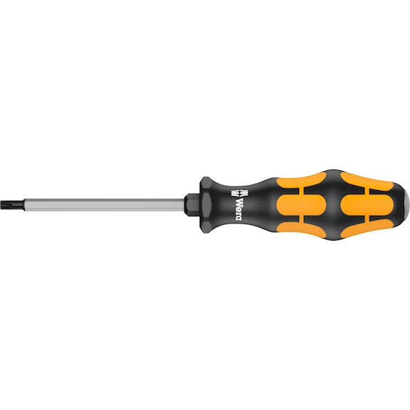 Screwdriver with striking cap and hexagon blade - 1