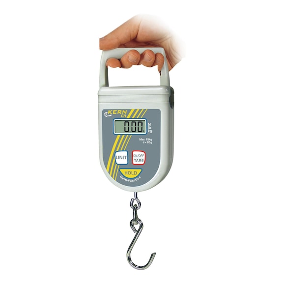 Electronic manual hanging scales CH