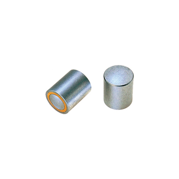ORION 耐高温磁柱，直径 40 mm，圆形 - 磁柱，AlNiCo 磁芯，钢套
