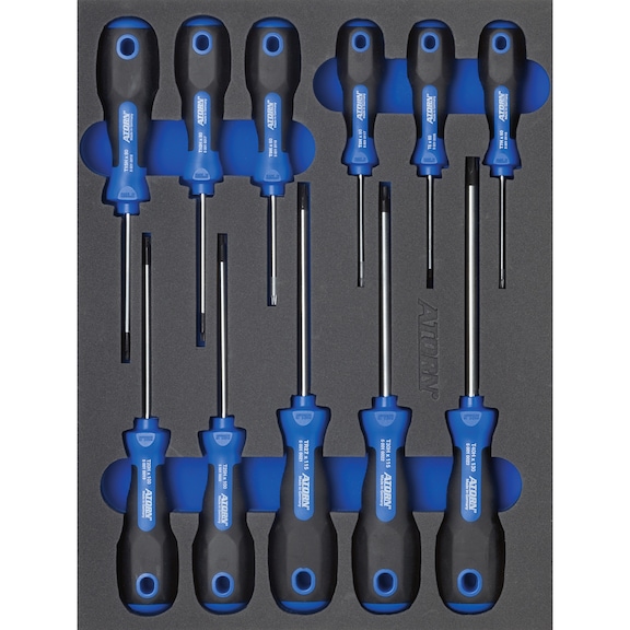 Hard foam insert fitted with tools, TX screwdriver set