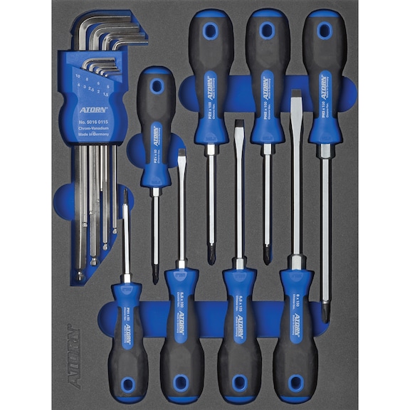 Hard foam insert equipped with tools, screwdriver set