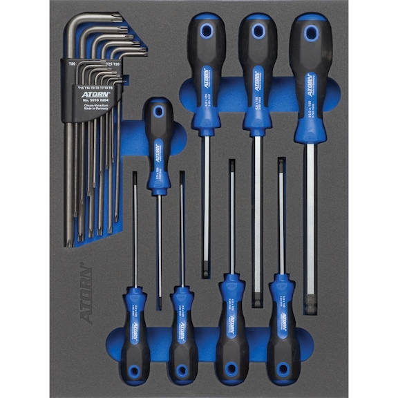 Hard foam insert equipped with tools, hexagon head screwdriver set