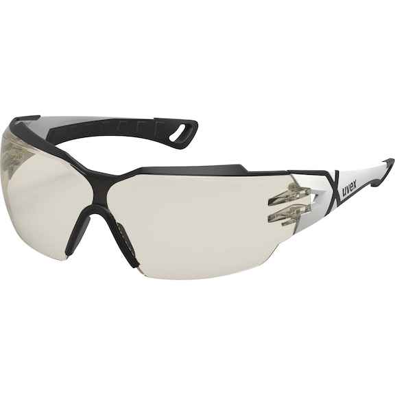 Safety glasses with frame
