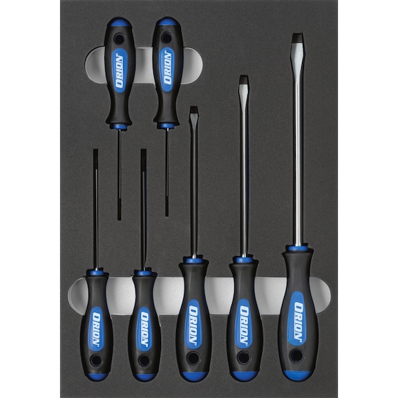 hard foam insert equipped with tools, slotted screwdriver set