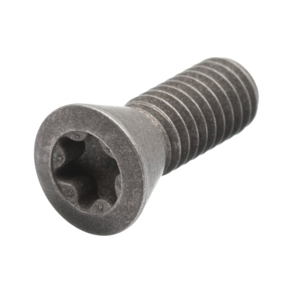Clamping screw for indexable inserts M4 x 12 mm TX20 - Clamping screw for indexable inserts