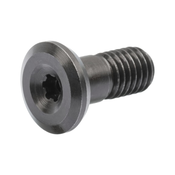 Clamping screw for indexable inserts M8 x 23 mm TX25 - Clamping screw for indexable inserts