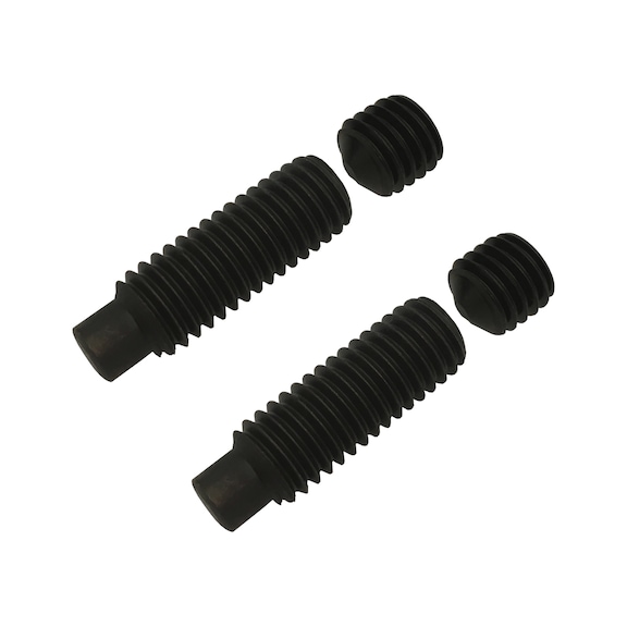 BILZ screw set, 21 mm TUB bush - Replacement screws for guide bush