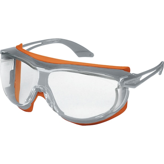 带镜框的 UVEX 安全护目镜 skyguard NT - 带镜框的安全护目镜