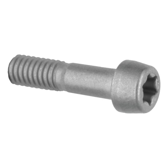Clamping screw holder