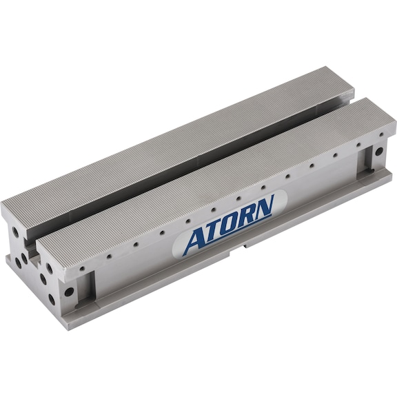 Rail de serrage ATORN W120 H80 L300 - ATORN rail de serrage multiple