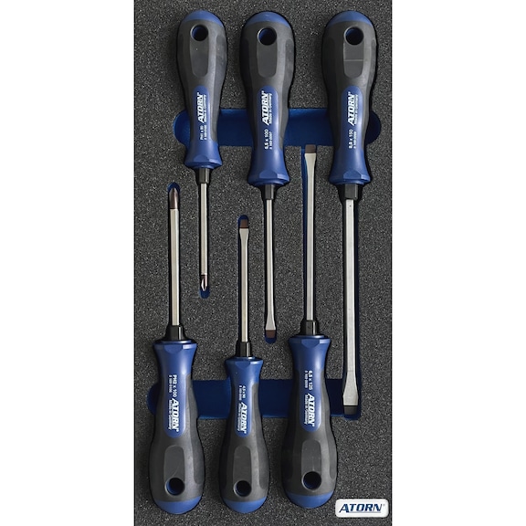 ATORN hard foam insert equipped with screwdriver set with 6 pcs - Hard foam insert - screwdriver set 6