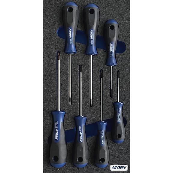 ATORN hard foam insert equipped with TX screwdriver set with 7 pcs - Hard foam insert - TX screwdriver set 7