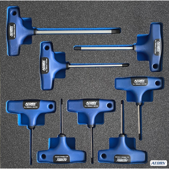 ATORN hard foam insert equipped with T-handle hexagon screwdriver set with 8 pcs - Hard foam insert - T-handle hex key set 8