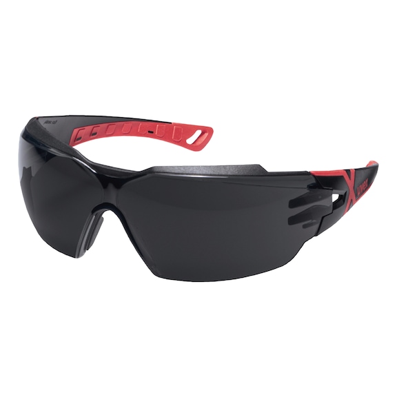 UVEX Infrarotschutzbrille pheos CX2 5.0 - Infrarotschutzbrille