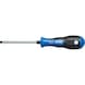 ATORN slotted screwdriver 5.5 x 100 mm
