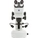 Zeiss Stereo-Mikroskop STEMI 508 LAB - Stereo-Zoom-Mikroskop STEMI 508 LAB - 3