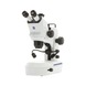 Zeiss Stereo-Mikroskop STEMI 508 LAB - Stereo-Zoom-Mikroskop STEMI 508 LAB - 1