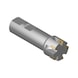 ATORN 可转位刀片立铣刀，带内部冷却功能，T=5，32.0 x 95 毫米，轴 DIN = 25.0 毫米，DIN 1835B - 带侧固柄的 90° 角度铣刀 - 2