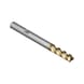 ATORN 整体硬质合金方形端铣刀，T=3 长型 6.00 mm 刀柄 DIN 6535 HB - 整体硬质合金立铣刀 - 2