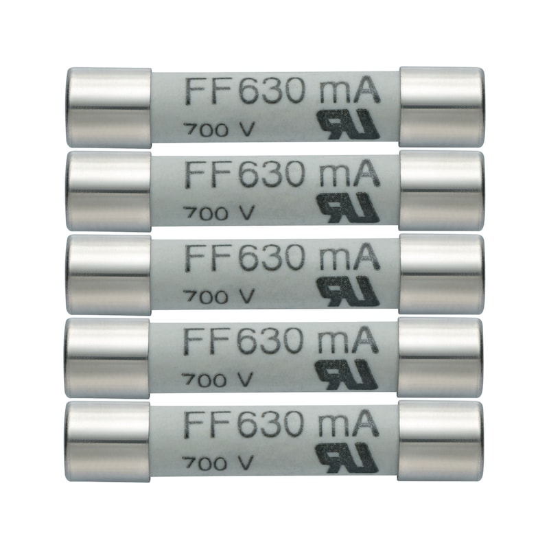 Fusibles de repuesto 630 mA/600 V.