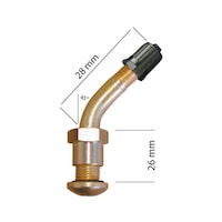 TRUCK BRASS TUBELESS VALVE