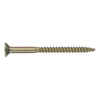 Special screw GBS 5.8, zinc-plated