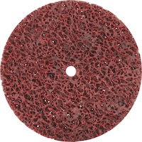 FIRE-DISC cleaning disc