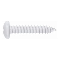 Round head tapping screw, DIN 7981, zinc-plated, type C, painted white