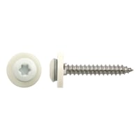 Window sill screw with washer, self-tapping screw thread, A2, TX