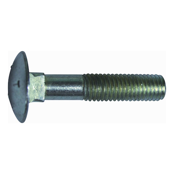 ROUND HEAD SCREW WITH SQUARE NECK 8.8 WHITE GALVANISED COARSE PITCH