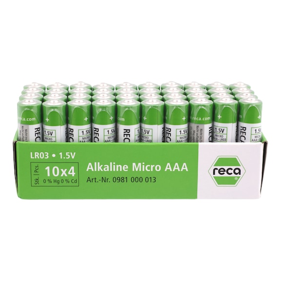 40er Pack Alkaline Batterien - RECA 40er Alkaline Batterien 1.5 V, LR03 Micro AAA