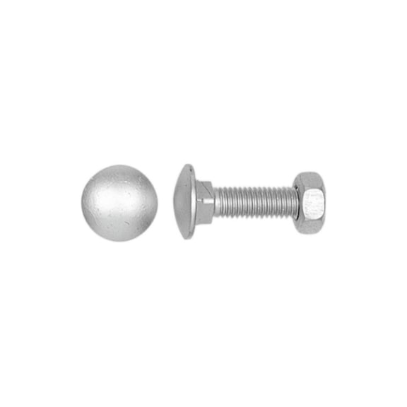 Round head screw with nut, DIN 603, zinc plated - 1