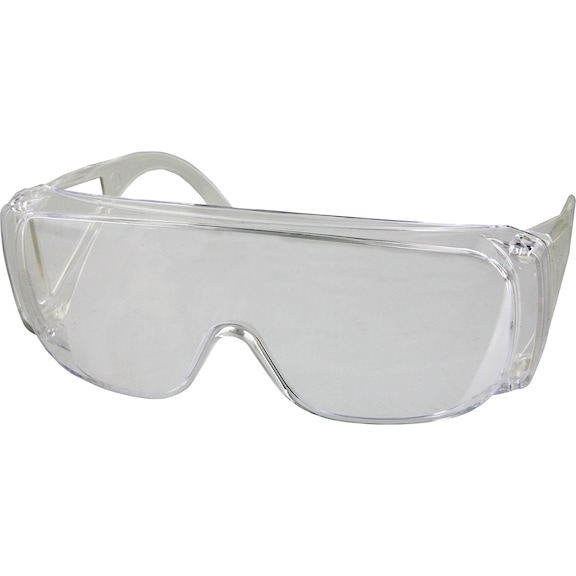Safety goggles and overspecs for visitors