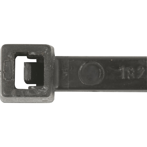Cable ties with plastic latch, black, UV-stabilised - 2